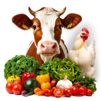 08 Фермерство и садоводство